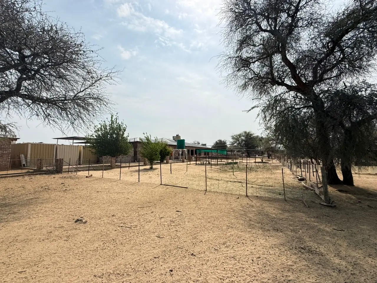 The land: Open camps and camel thorn