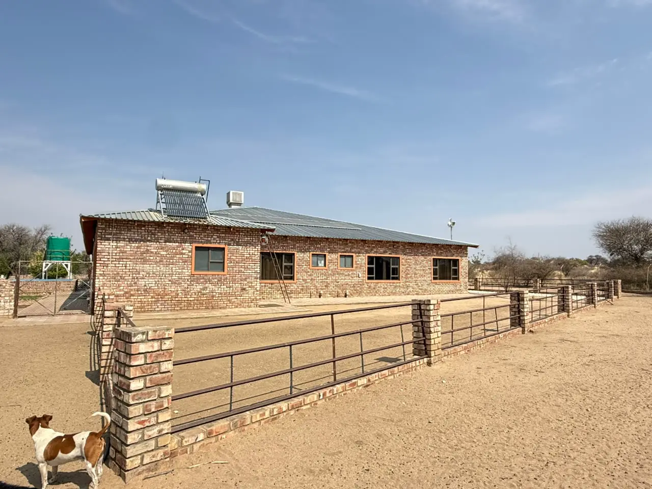Arrival: Fenced yard around the house