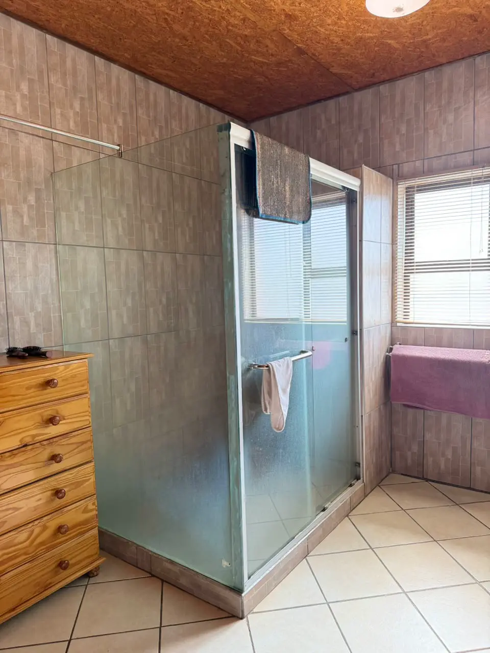 Bathrooms: Shower-toilet